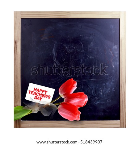 Tulip on blackboard and teacher's day card