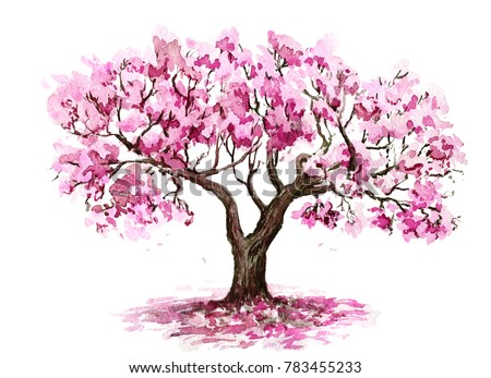 Sakura Tree Hand Drawn Watercolor Sketch Stock Illustration 783455233 ...