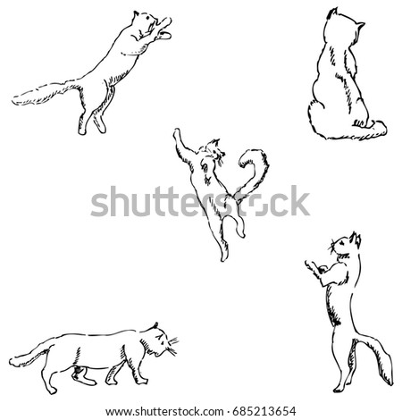 Vector Outline Sketch Cat Standing Stock Vector 276653699 - Shutterstock