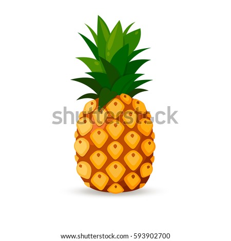 Pineapple isolated on white background. Vector image