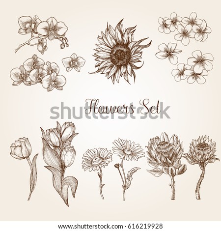 Flowers set