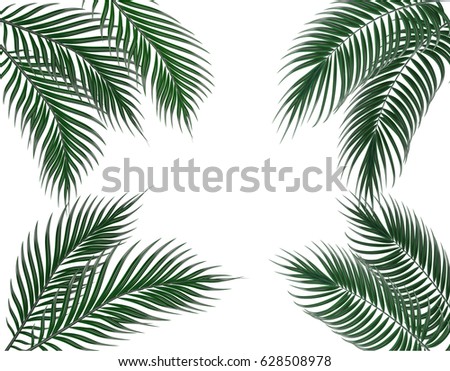 Palm Leaf Vector Background Illustration Eps10 Stock Vector 374163730 ...