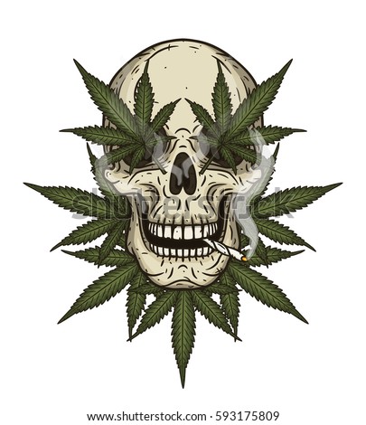 Rastaman Skull Cannabis Leafs Stock Vector 593175809 - Shutterstock