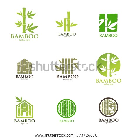 Bamboo nature logo