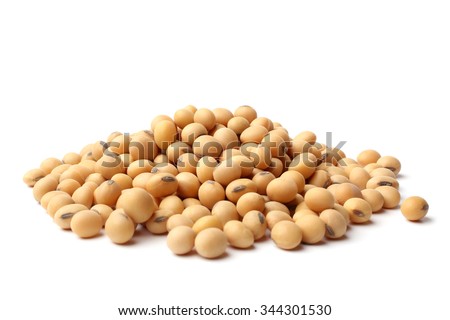 Dried soya beans on white background