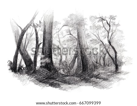 Woods Sketch Pencil Hand Drawing Stock Illustration 667099399