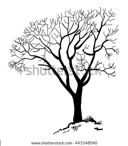 Tree Without Leaves Stock Images, Royalty-Free Images & Vectors ...