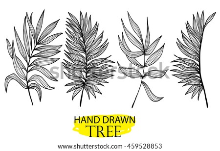 Leaf Drawing Stock Images, Royalty-Free Images & Vectors | Shutterstock