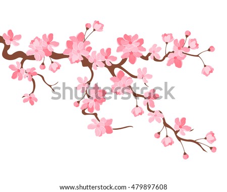 Vector illustration. Branch of Japanese cherry blossoms with beautiful flowers.Sakura. White background.