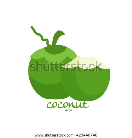 coconut vector