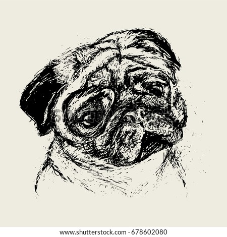 vector realistic pug drawing hand drawn rough ink pen sketch style