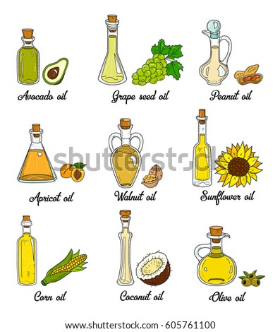 9 Cooking Oils Cute Sketchy Bottles Stock Vector 605761100 - Shutterstock