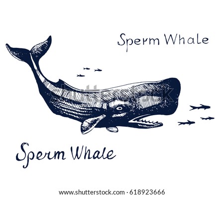 Sperm whale sketches Free fucking hentai inuyasha kagome
