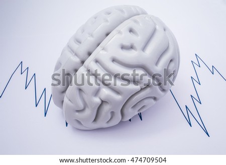 the human mind essay the human mind essay