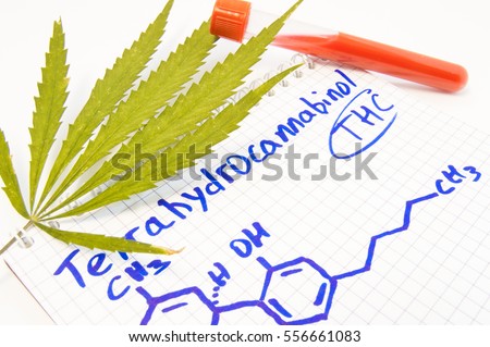 analysis of tetrahydrocannabinol Positive identification and quantification of the thc/cbd ratio is a primary objective in the analysis of cannabis cannabis is analyzed for several different. analysis of tetrahydrocannabinol Positive identification and quantification of the thc/cbd ratio is a primary objective in the analysis of cannabis cannabis is analyzed for several different.