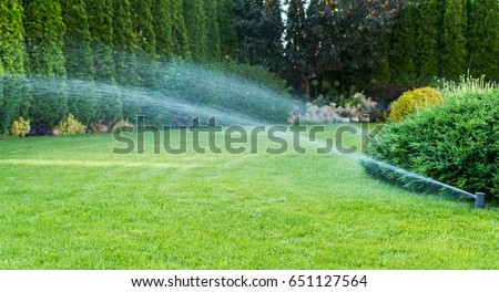 Irrigation of the green grass with sprinkler system.