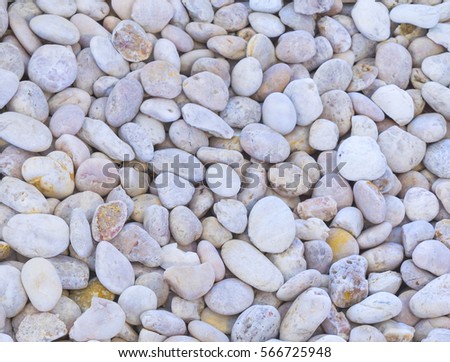 texture pattern of pebbles gravel and small stones in walk way path and floor for garden - Decorative Gravel texture pattern of pebbles gravel and small stones in walk way path and floor for garden - Decorative Gravel