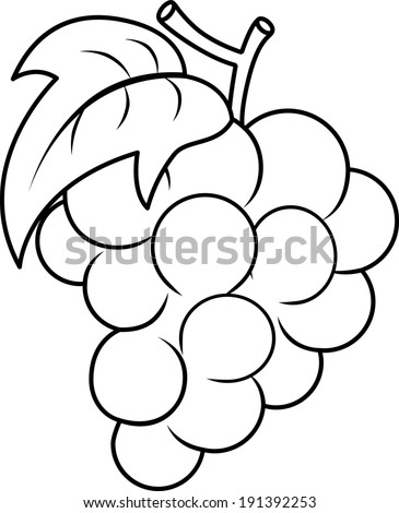 Download Grape Outline Stock Images, Royalty-Free Images & Vectors ...