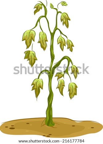 Wilted plant Stock Photos, Images, & Pictures | Shutterstock