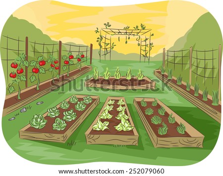 Clipart - plants fruit Stock Photos, Images, & Pictures | Shutterstock