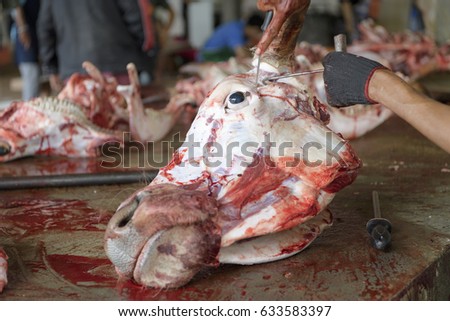 Slaughter house images Slaughter house images