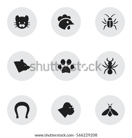 Set 9 Editable Zoology Icons Includes Stock Vector 566229208 - Shutterstock