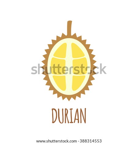 Half of durian icon. Isolated object. Durian logo. Healthy food. Vitamin food. Vector illustration.