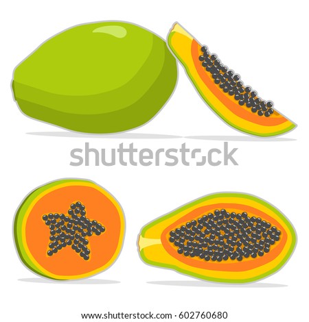 Abstract vector illustration logo whole ripe fruit papaya,green stem leaf,cut sliced,background. Papaya pattern consisting of tag label,natural sweet food. Eat fresh raw organic fruits,exotic papayas.