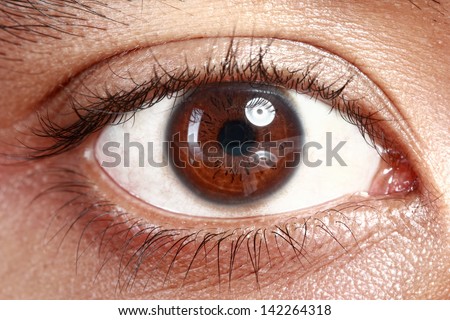 Close-up Stock Photos, Images, & Pictures | Shutterstock