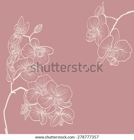 orchid flowers illustration as frame background