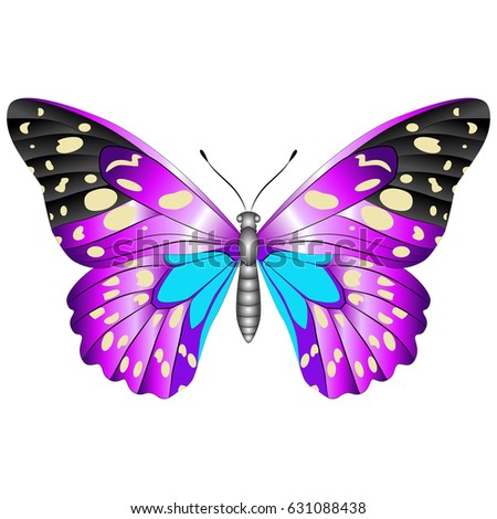 3d Image Purple Butterfly Stock Illustration 9588517 - Shutterstock