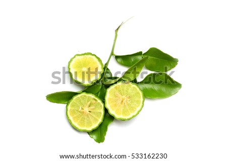 Bergamot Stock Images, Royalty-Free Images & Vectors | Shutterstock