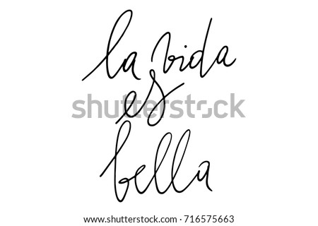 Phrase Spanish Writing Life Beautiful Handwritten Stock Vector ...