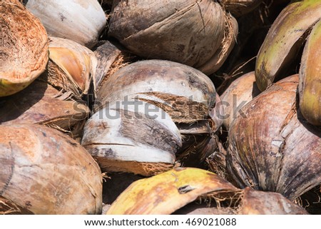 how much fiber in coconut how much fiber in coconut