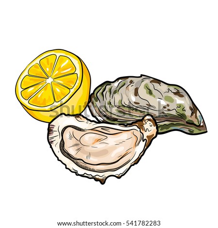 Oyster Shell Stock Images, Royalty-Free Images & Vectors ...