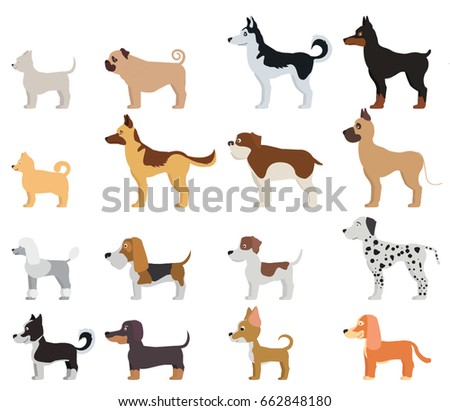 Dogs Breed Set Isolated On White Stock Vector 467137910 - Shutterstock