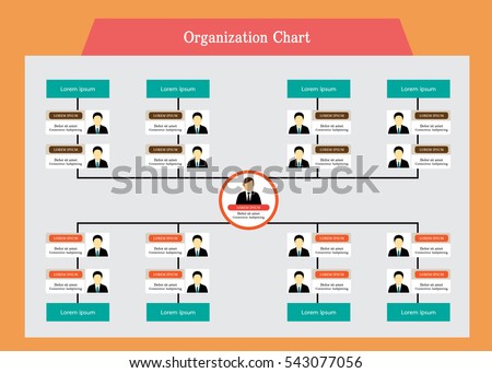 stock vector organization chart info graphics 543077056