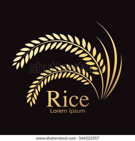 grain organic natural product ,Rice gold , rice.