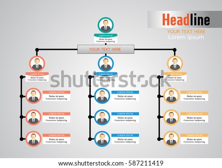 Organization Chart Infographics Stock Vector 587211419 