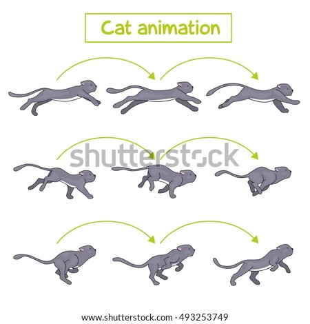 Cat animation. Cat runs and jumps