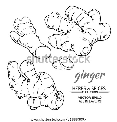 Ginger Drawing Stock Images, Royalty-Free Images & Vectors | Shutterstock