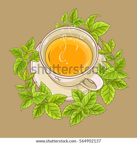 cup of melissa tea