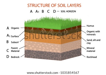 Silt Soil Stock Images, Royalty-Free Images & Vectors | Shutterstock