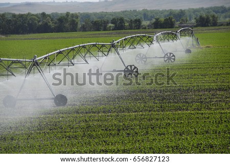 Center pivot irrigation of crops.