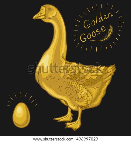 stock golden goose