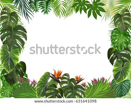 Download Leaf Border Stock Images, Royalty-Free Images & Vectors ...