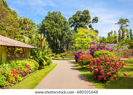 Path Park Running Through Beds Flowers Stock Photo 2499318 - Shutterstock