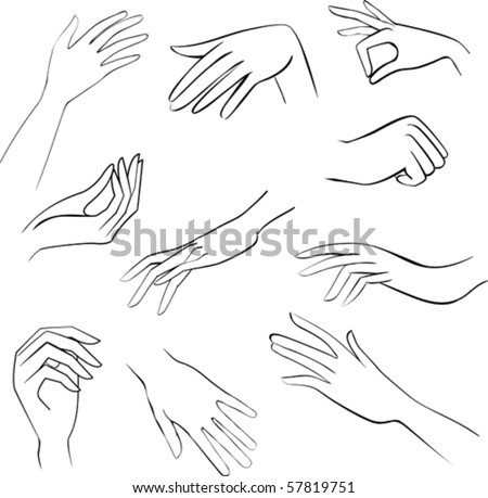 Sketch Set Woman Hands Stock Vector 57819751 - Shutterstock