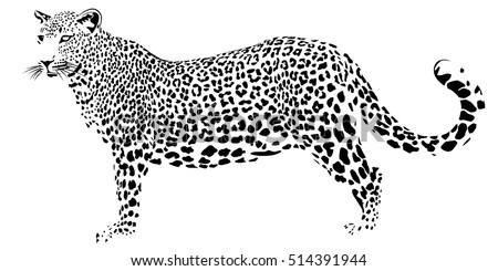 Cartoon Jaguar Stock Images Royalty Free Images Amp Vectors Shutterstock