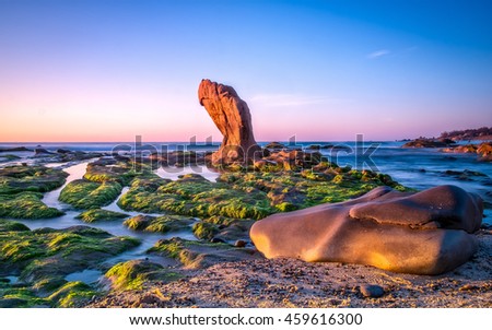 Co Thach coast were fully covered with moss and seaweed. That coast is located in Tuy Phong, Binh Thuan province, Vietnam